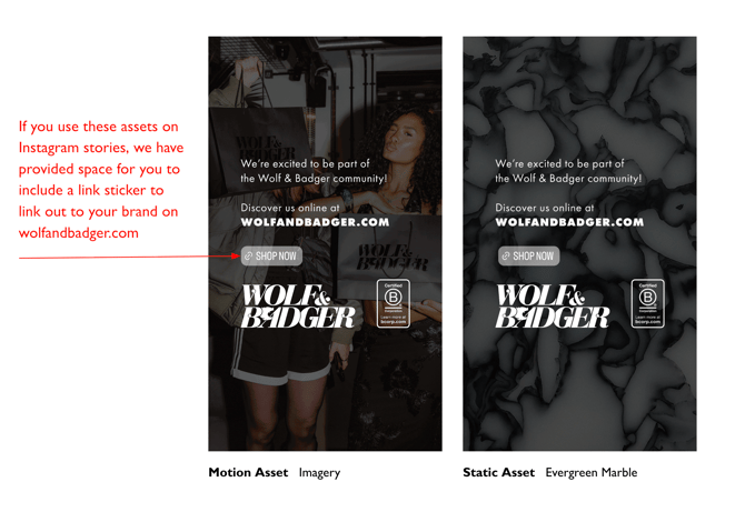 Guidance for Instagram Story Use